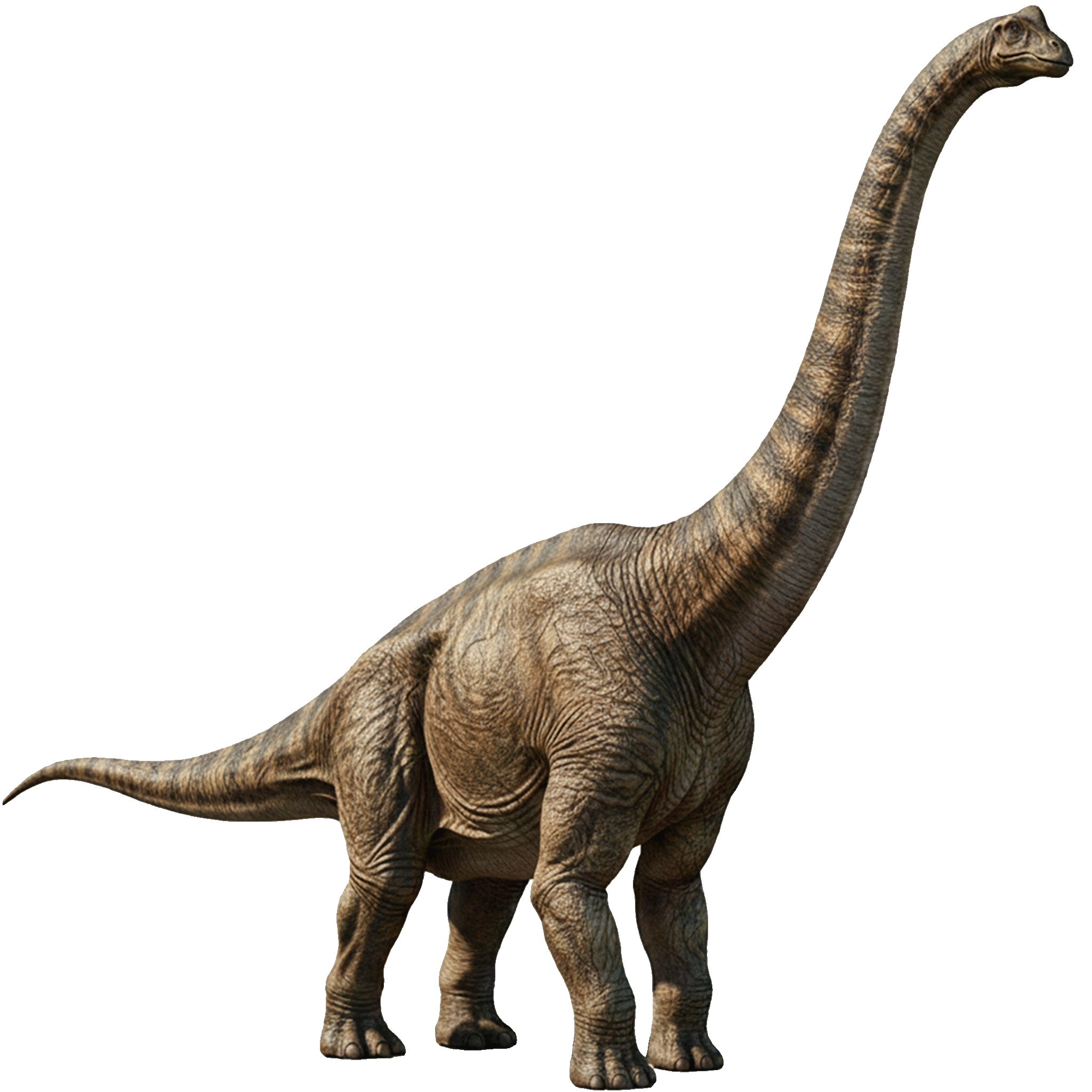 Brachiosaurus
