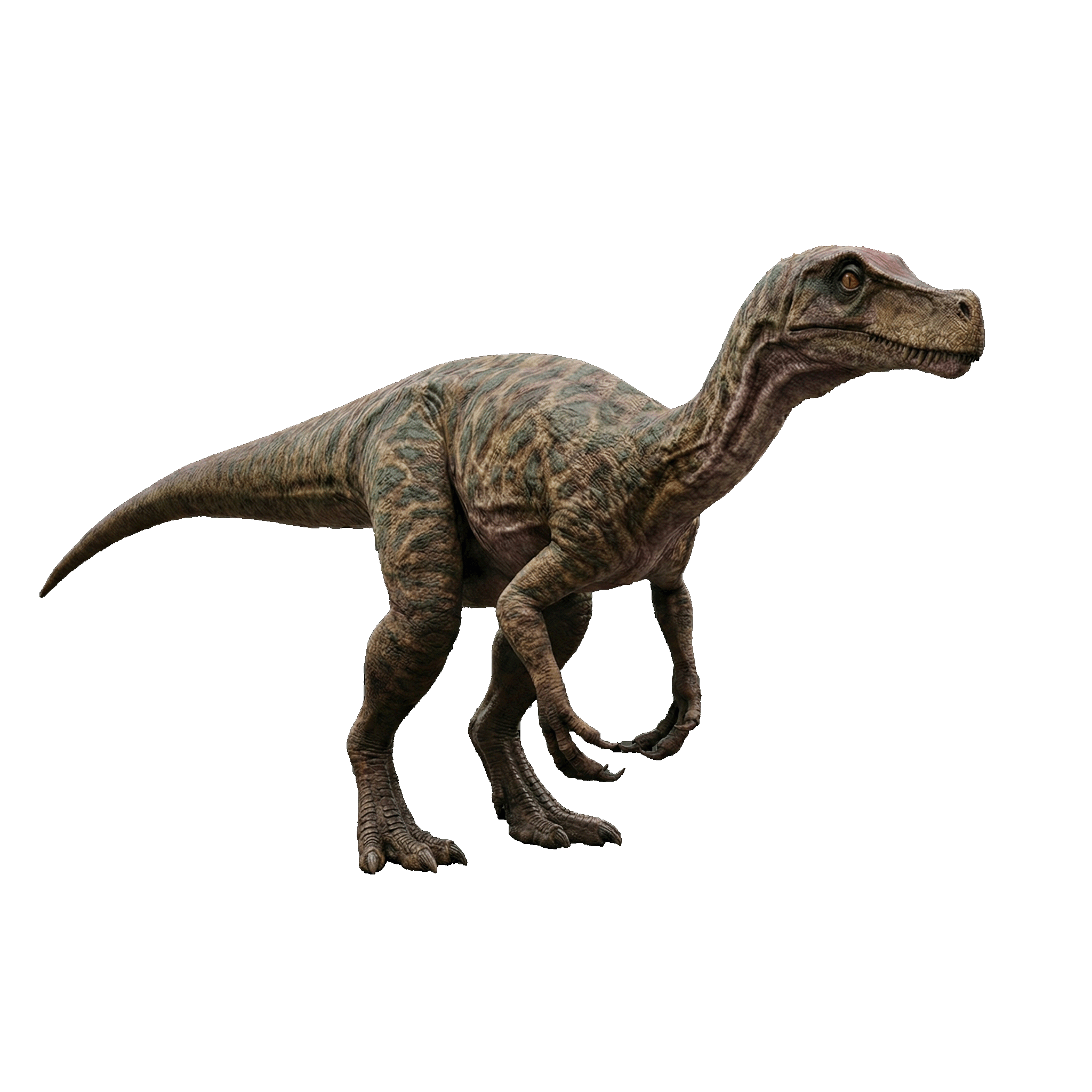 Herrerasaurus