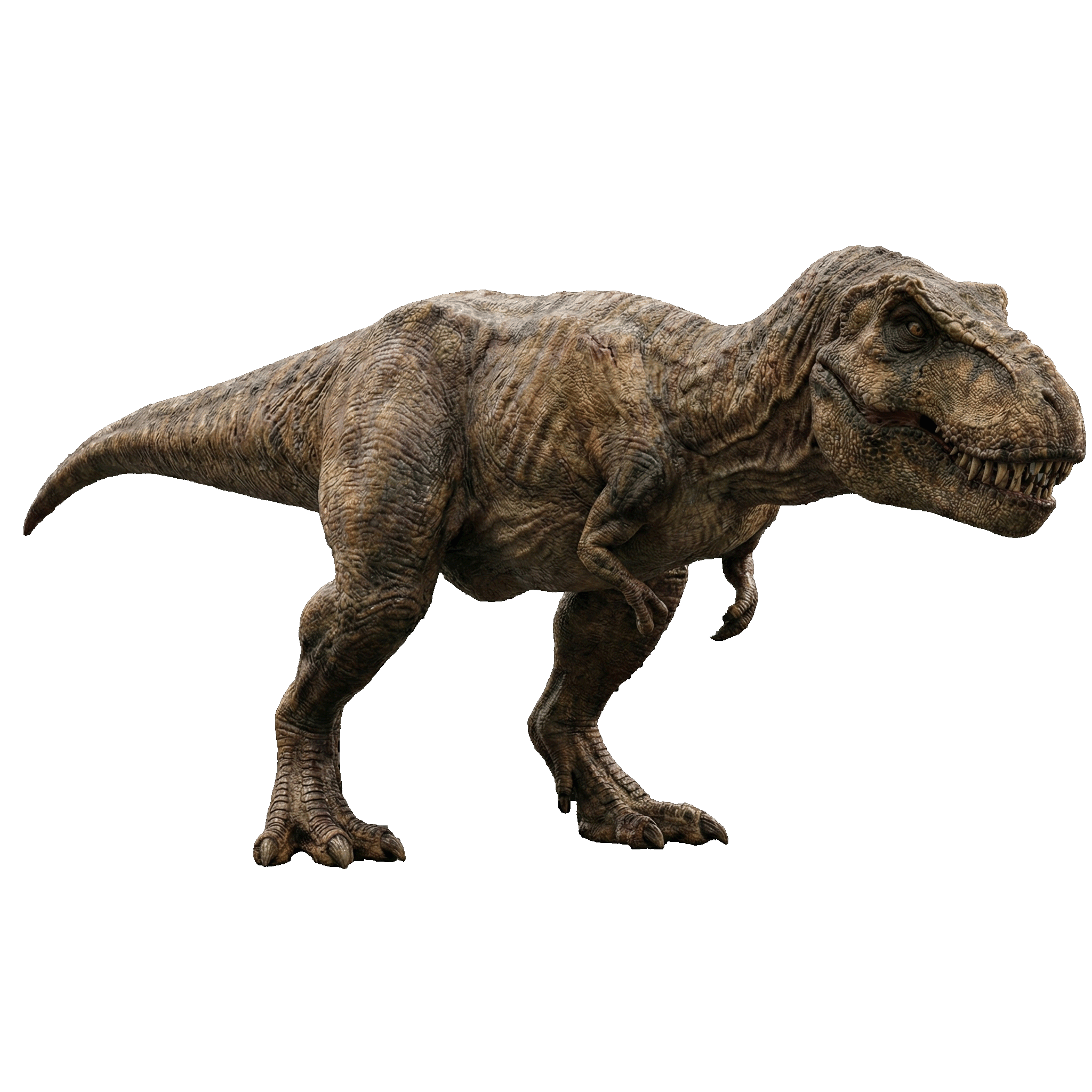 T-Rex